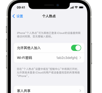 茂南apple服务站点分享iPhone上个人热点丢失了怎么办 