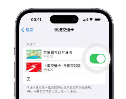 茂南apple维修点分享iPhone上更换Apple Pay快捷交通卡手绘卡面 