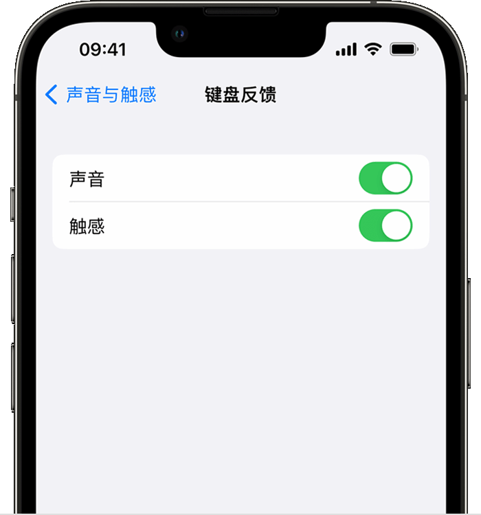 茂南苹果14维修店分享如何在 iPhone 14 机型中使用触感键盘 