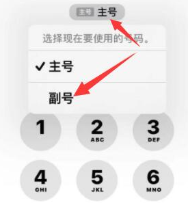 茂南苹果14维修店分享iPhone 14 Pro Max使用副卡打电话的方法 