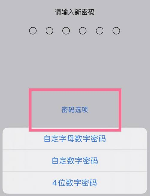 茂南苹果14维修分享iPhone 14plus设置密码的方法 