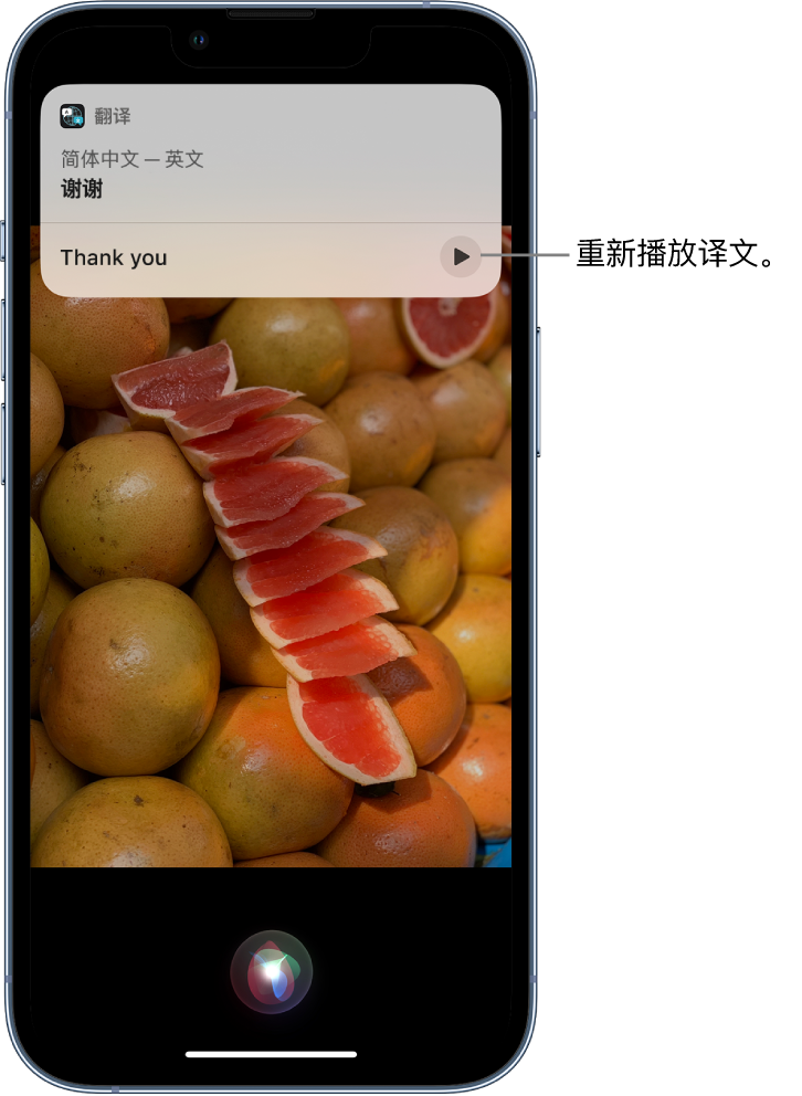 茂南苹果14维修分享 iPhone 14 机型中使用 Siri：了解 Siri 能帮你做什么 