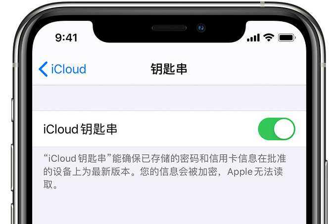 茂南苹果手机维修分享在 iPhone 上开启 iCloud 钥匙串之后会储存哪些信息 