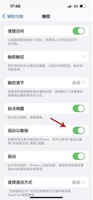 茂南苹果手机维修分享iPhone手机如何设置摇一摇删除文字 